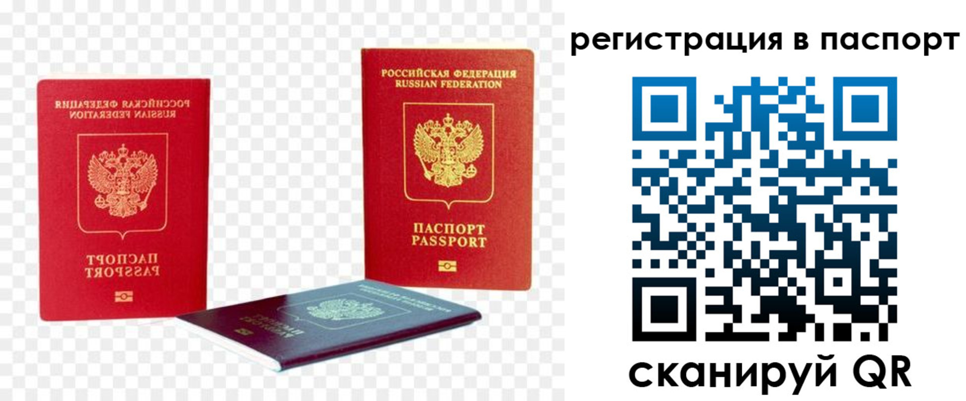 прописка от собственника в Мурманской области
