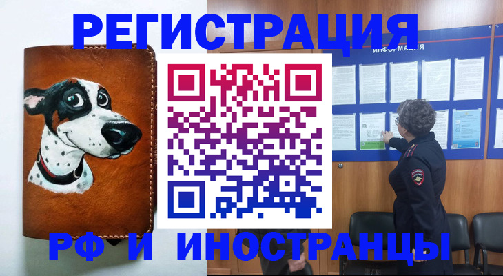 временная регистрация законно в Мурманской области